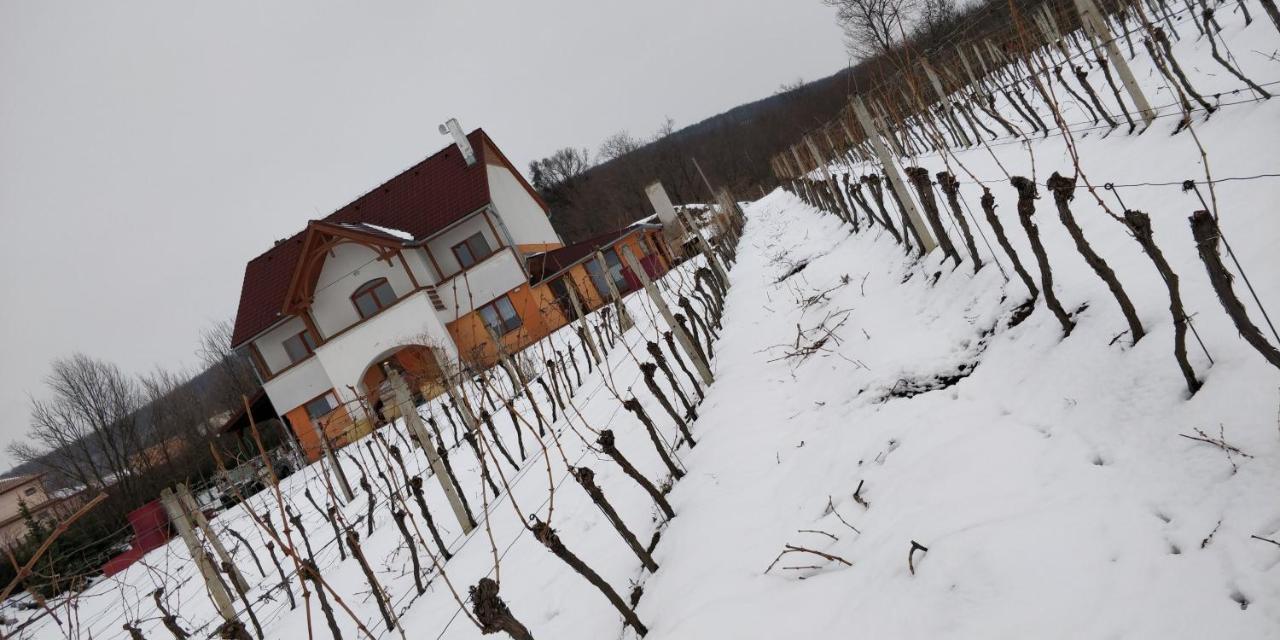 Vinox Winery Villa Vinica Exterior photo